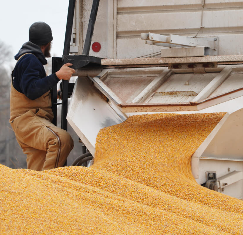 Bulk Feed Delivery