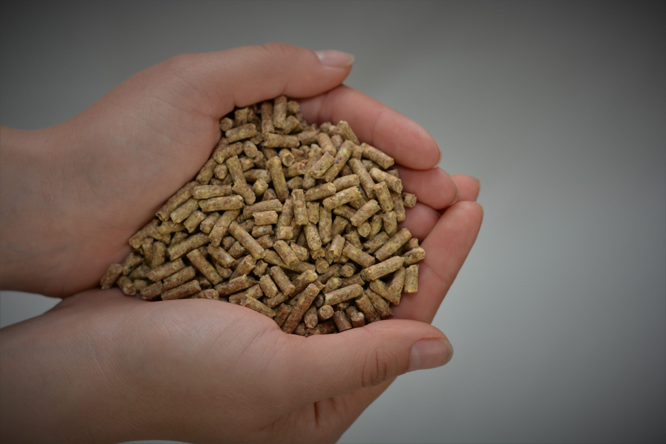 Why pellet feed?
