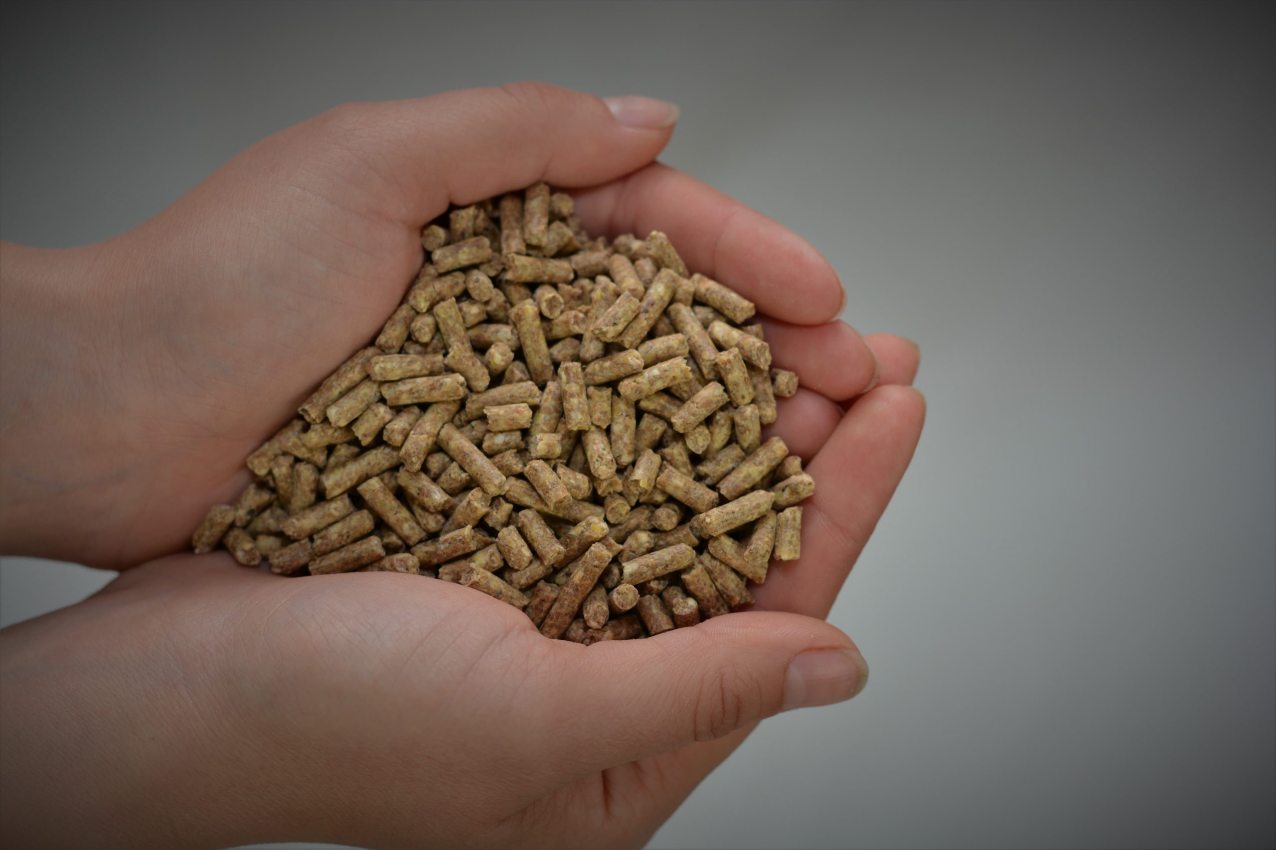 Why pellet feed?  