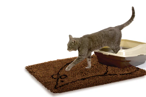 cat_stepping_large